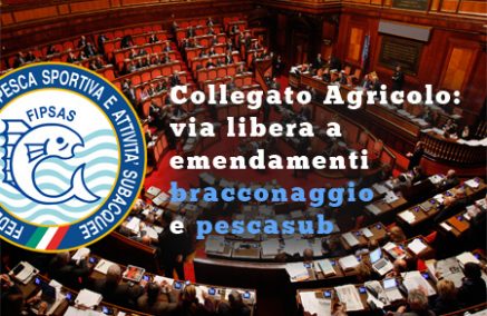 DICHIARATI AMMISSIBILI GLI EMENDAMENTI PROPOSTI DALLA FIPSAS