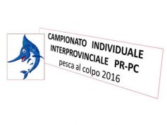 INTERPROVINCIALE INDIVIDUALE  al colpo 2016