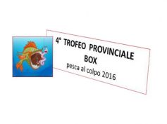 TROFEO PROVINCIALE BOX