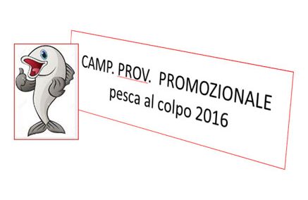 CAMPIONATO PROMOZIONALE AL COLPO 2016