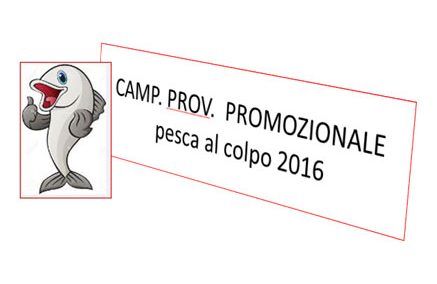 CAMP. PROVINCIALE PROMOZIONALE al colpo 2016
