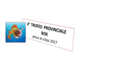 CAMPIONATO PROVINCIALE BOX 2017