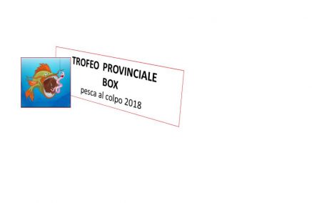 CAMPIONATO PROVINCIALE A BOX 2018 pesca al colpo