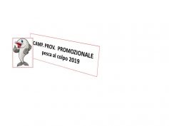 CAMPIONATO  PROMOZIONALE  AL COLPO 2019