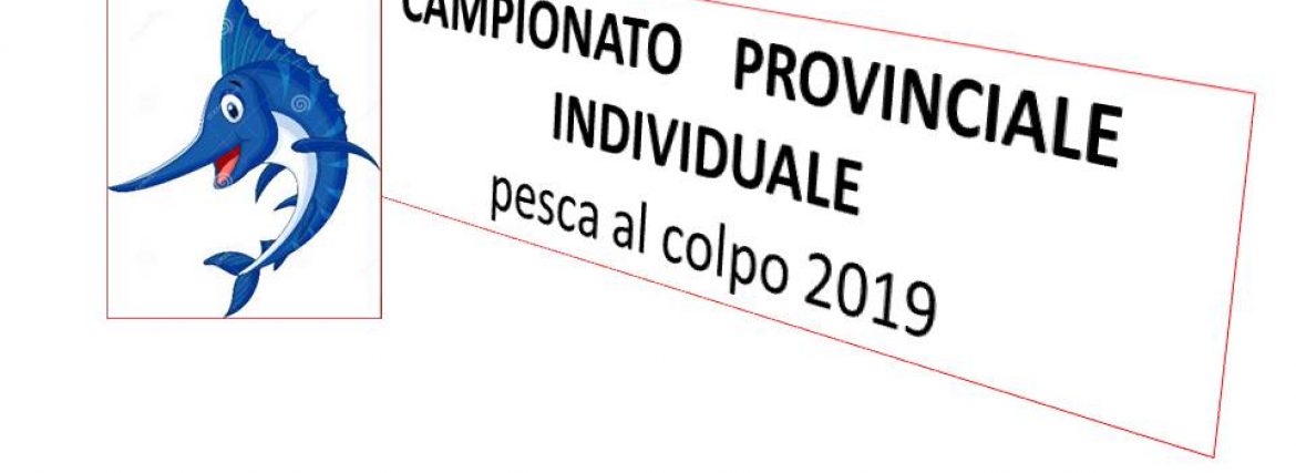CAMPIONATO PROVINCIALE INDIVIDUALE AL COLPO 2019